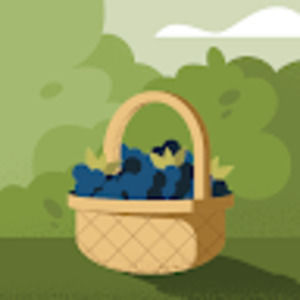 Meet your Posher, Holly